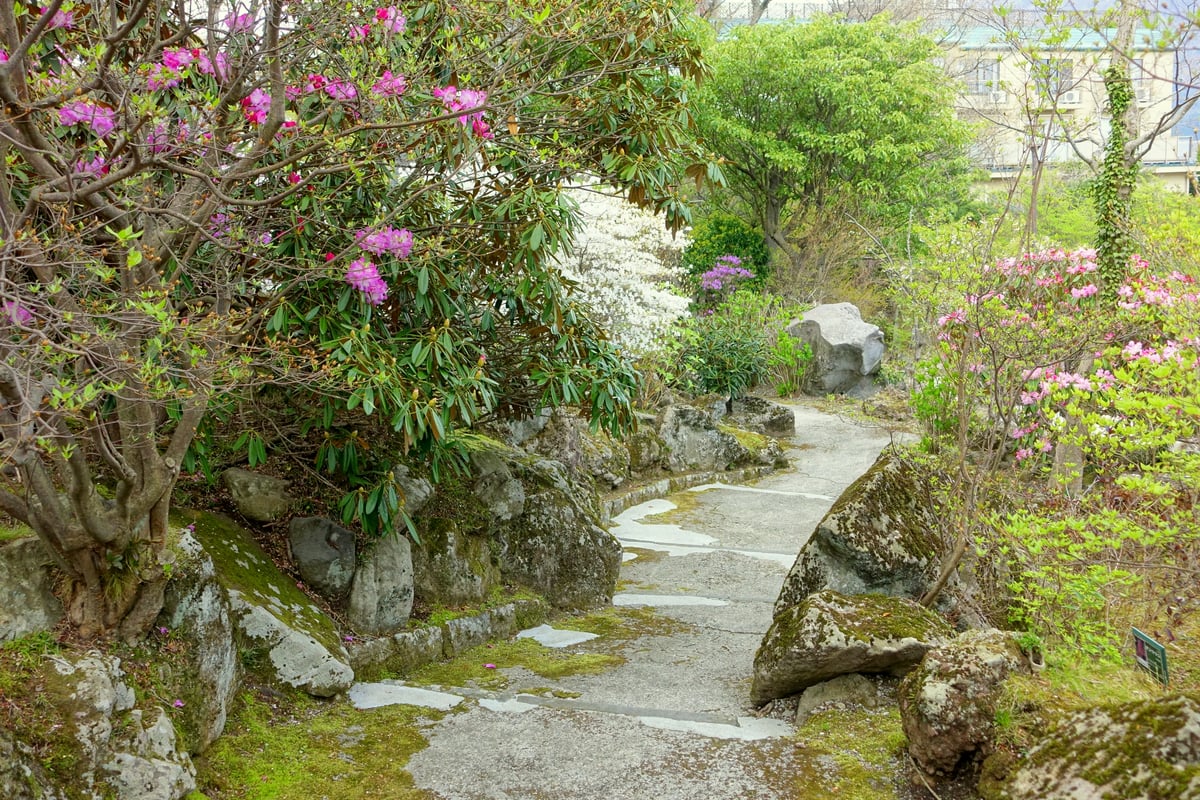 強羅公園