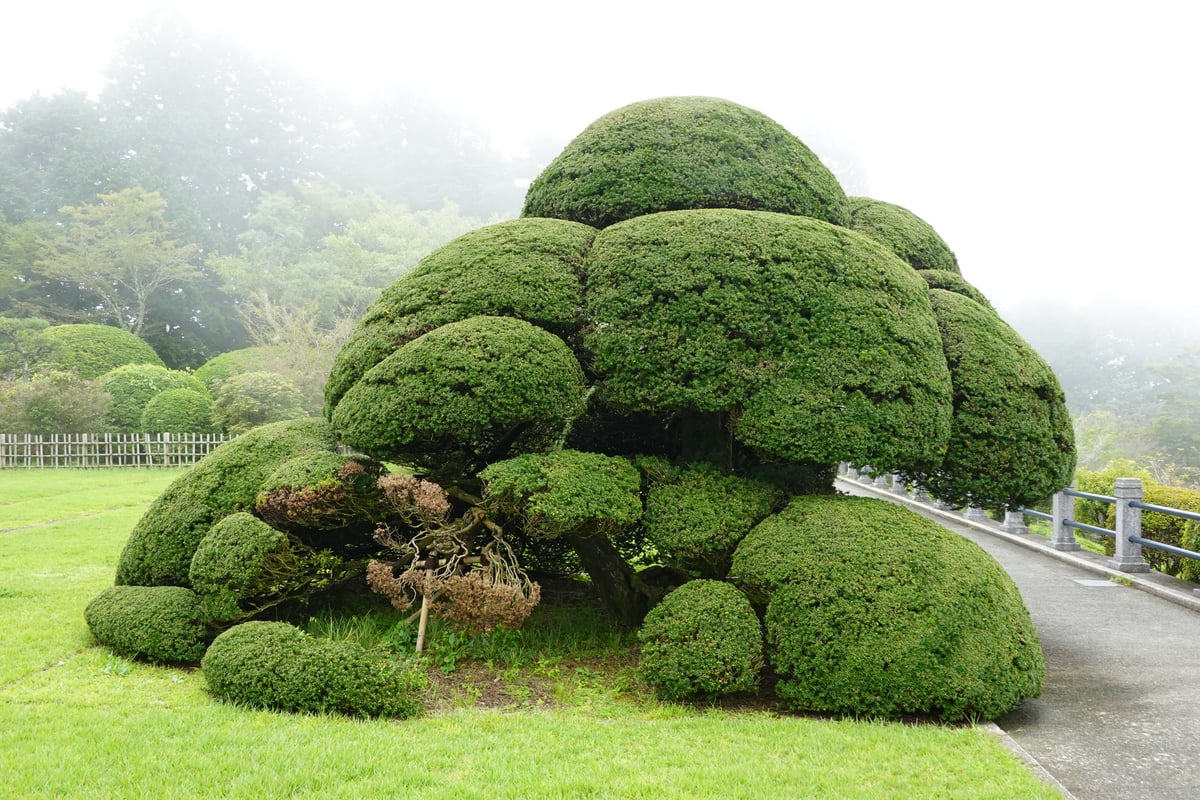 恩賜箱根公園